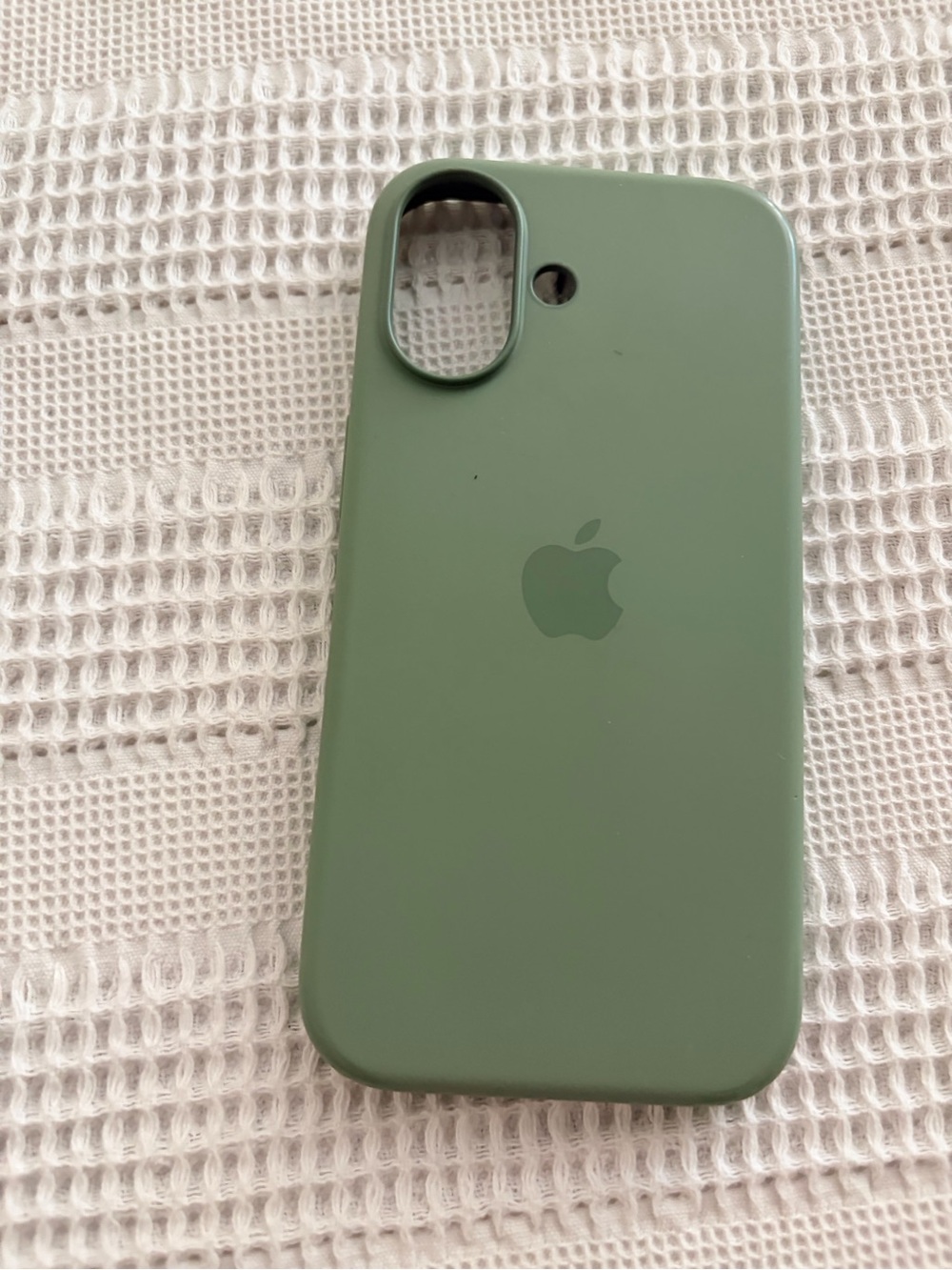 Apple iPhone 17, Silicone iPhone Case in Sage Green